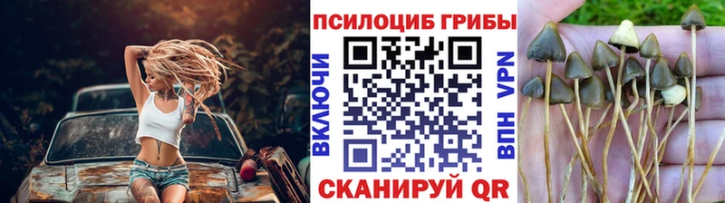 Псилоцибиновые грибы мухоморы  наркота  Октябрьский 